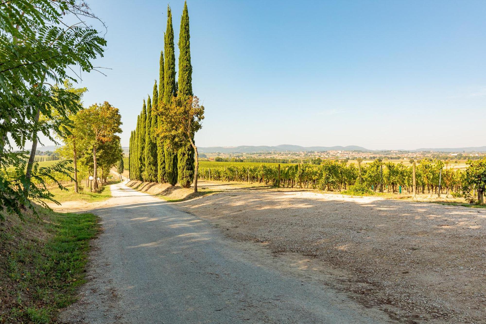 Appartamento Nobile Montepulciano Stazione Exteriér fotografie